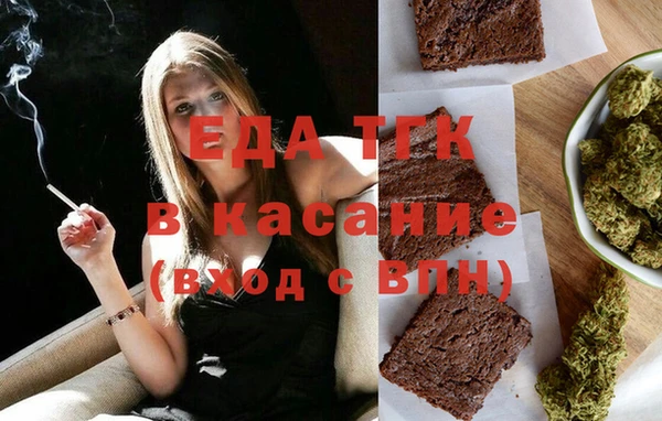 индика Гусь-Хрустальный