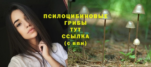 мефедрон Гусиноозёрск