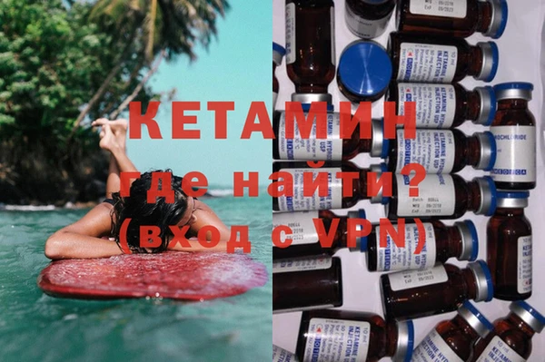 индика Гусь-Хрустальный