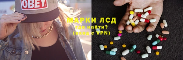 индика Гусь-Хрустальный