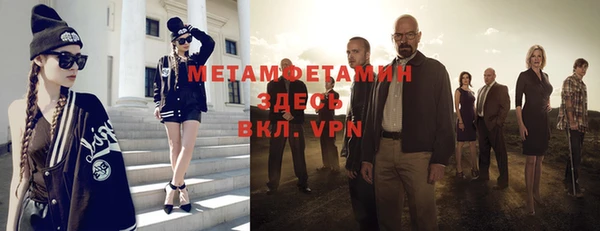 индика Гусь-Хрустальный