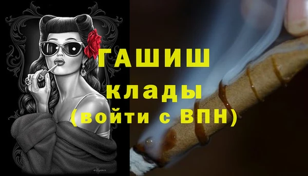 индика Гусь-Хрустальный