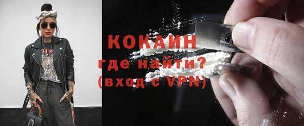 индика Гусь-Хрустальный