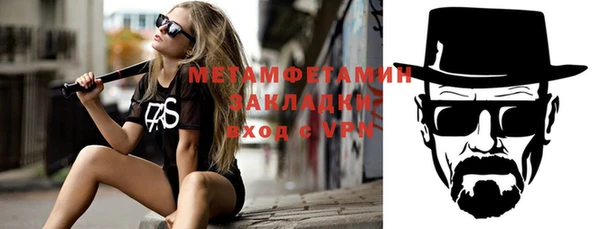 индика Гусь-Хрустальный