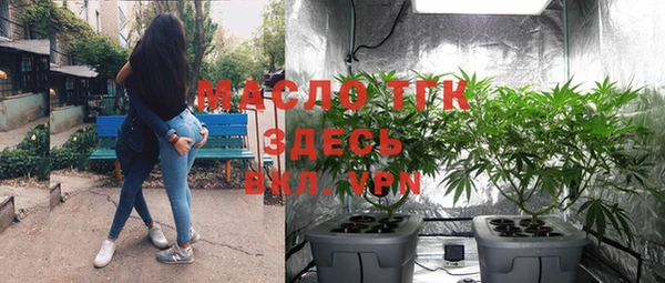 альфа пвп Гусев