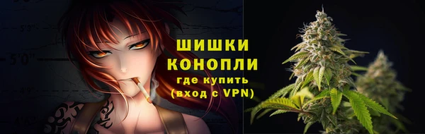 индика Гусь-Хрустальный