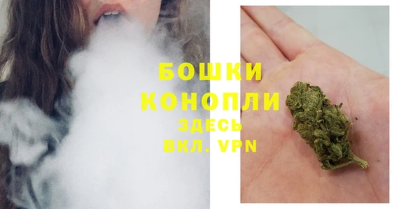 индика Гусь-Хрустальный