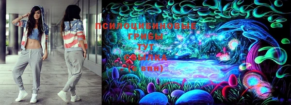 индика Гусь-Хрустальный