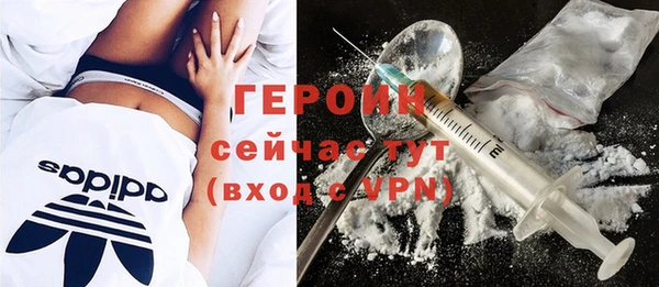 индика Гусь-Хрустальный