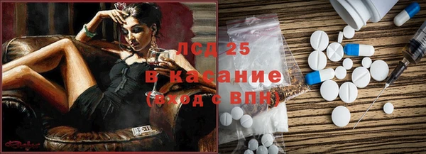 альфа пвп Гусев