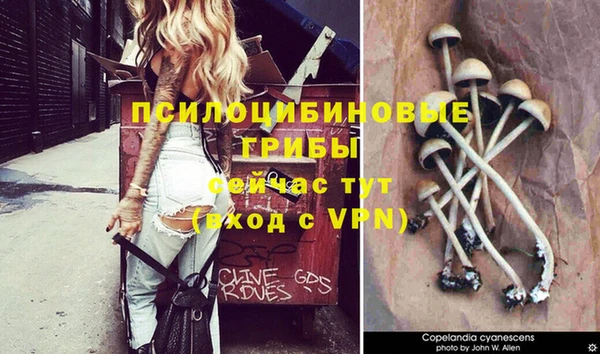 альфа пвп Гусев