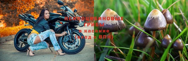 альфа пвп Гусев
