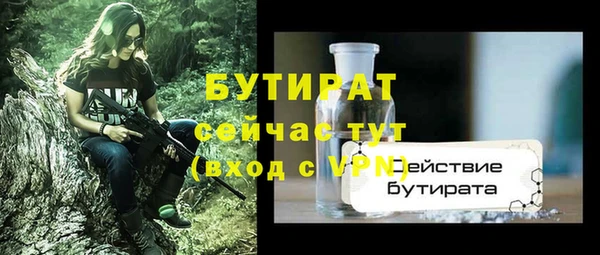 индика Гусь-Хрустальный