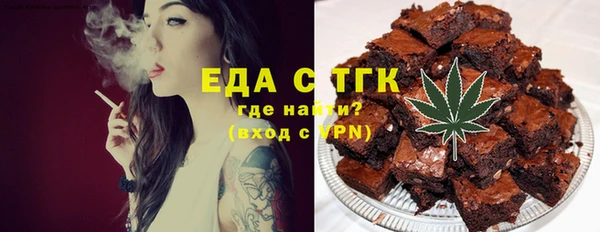 индика Гусь-Хрустальный