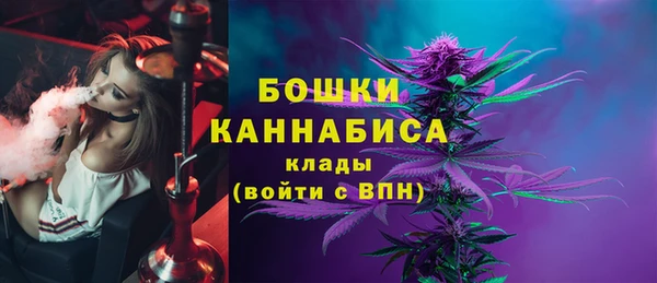 индика Гусь-Хрустальный
