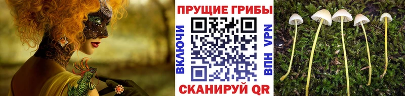 Галлюциногенные грибы Magic Shrooms  Купить  Александровск 